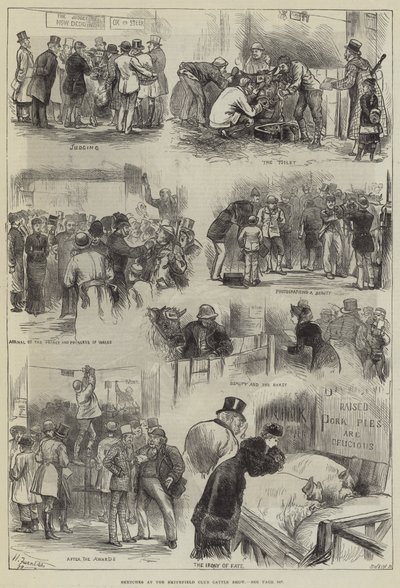 Sketches at the Smithfield Club Cattle Show by Harry Furniss